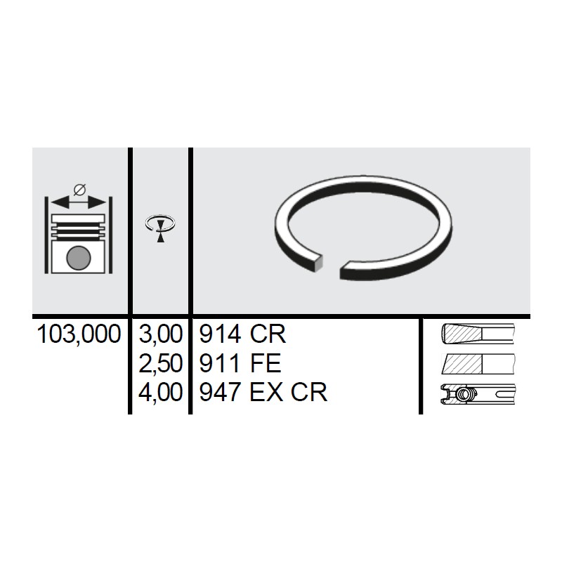 120 121 0002 00 - Set segmenti STD Ø103 3x2,5x4 mm Fiat 1909706
