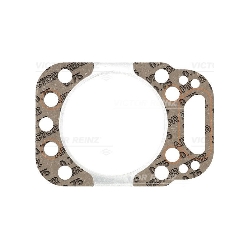 61-20174-30 - Garnitura chiulasa Fendt F139.207.210.031