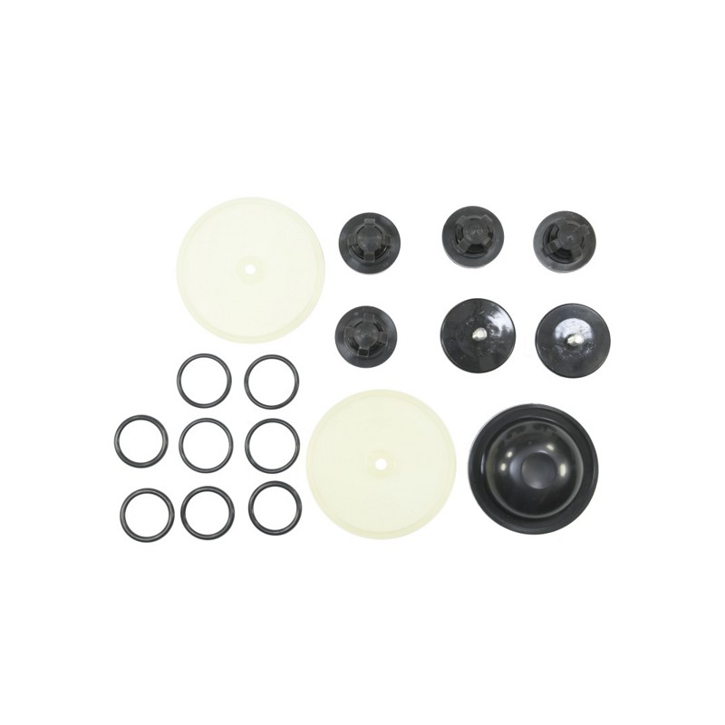 Kit reparatie pompa Biardzki P-120